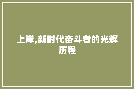 上岸,新时代奋斗者的光辉历程