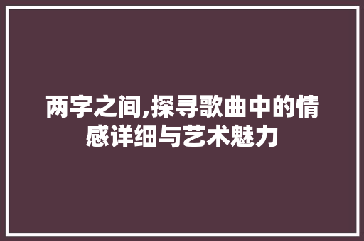 两字之间,探寻歌曲中的情感详细与艺术魅力