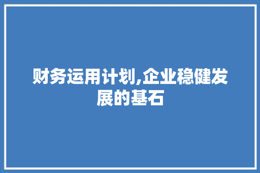 财务运用计划,企业稳健发展的基石