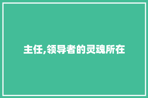 主任,领导者的灵魂所在