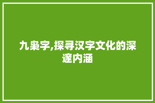 九枭字,探寻汉字文化的深邃内涵