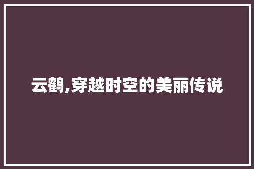 云鹤,穿越时空的美丽传说