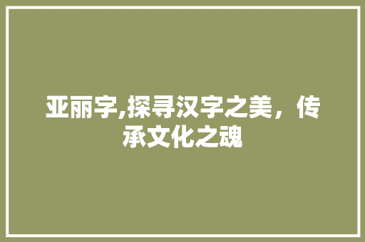 亚丽字,探寻汉字之美，传承文化之魂