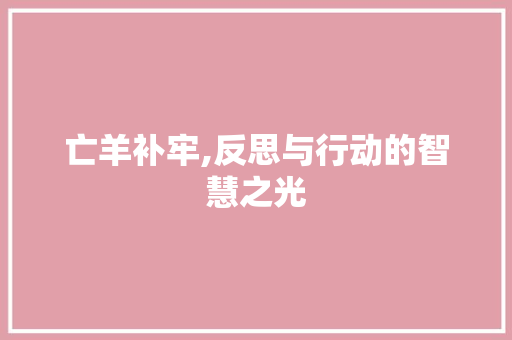 亡羊补牢,反思与行动的智慧之光