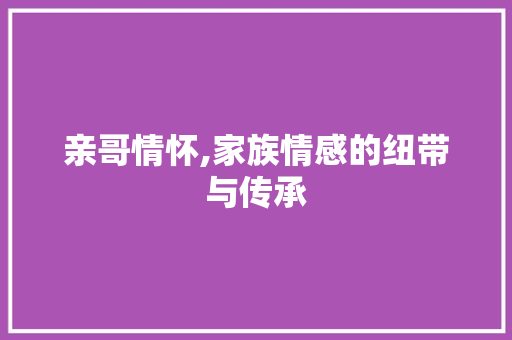 亲哥情怀,家族情感的纽带与传承