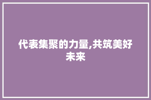 代表集聚的力量,共筑美好未来