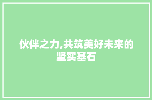 伙伴之力,共筑美好未来的坚实基石
