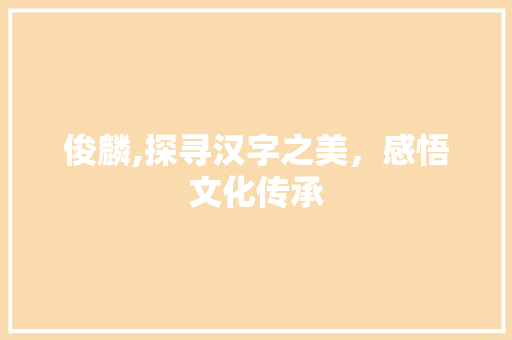 俊麟,探寻汉字之美，感悟文化传承