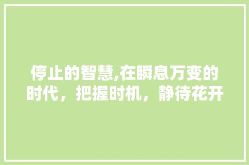 停止的智慧,在瞬息万变的时代，把握时机，静待花开