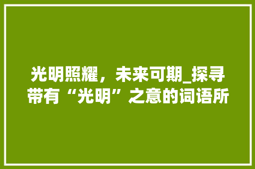 光明照耀，未来可期_探寻带有“光明”之意的词语所蕴含的深刻内涵