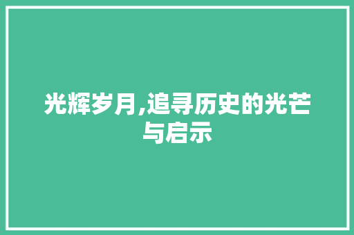 光辉岁月,追寻历史的光芒与启示