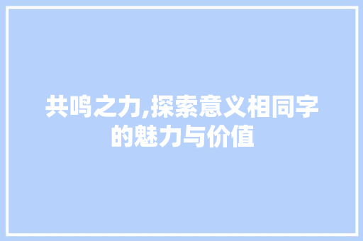 共鸣之力,探索意义相同字的魅力与价值