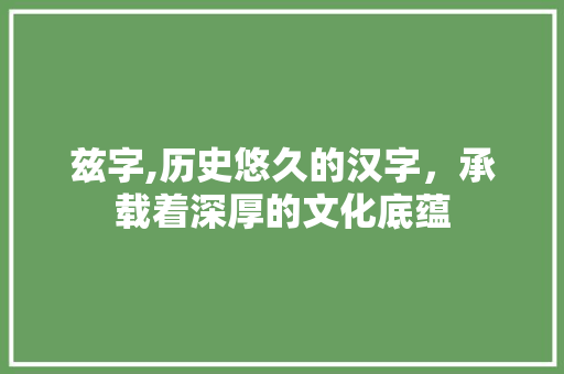 兹字,历史悠久的汉字，承载着深厚的文化底蕴