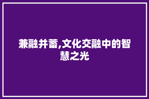 兼融并蓄,文化交融中的智慧之光