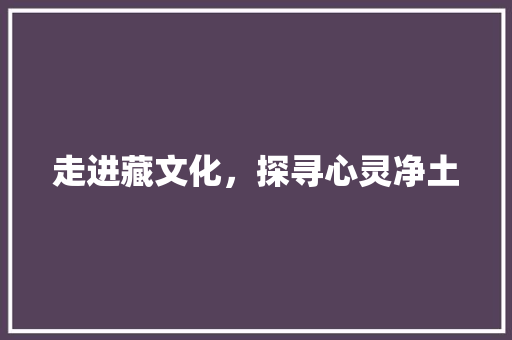 走进藏文化，探寻心灵净土