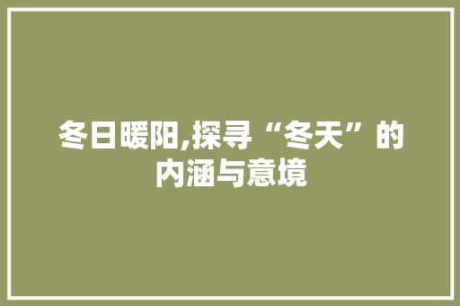 冬日暖阳,探寻“冬天”的内涵与意境