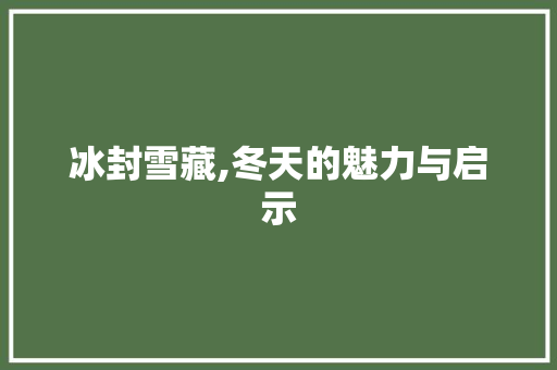 冰封雪藏,冬天的魅力与启示