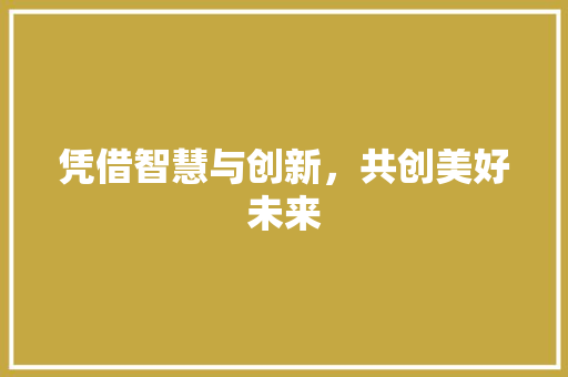 凭借智慧与创新，共创美好未来