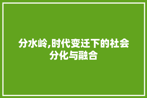 分水岭,时代变迁下的社会分化与融合