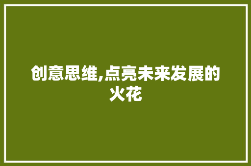 创意思维,点亮未来发展的火花