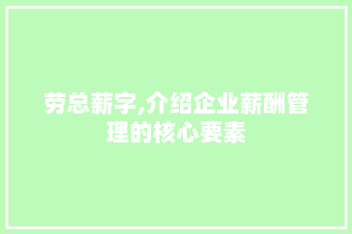 劳总薪字,介绍企业薪酬管理的核心要素