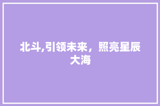 北斗,引领未来，照亮星辰大海