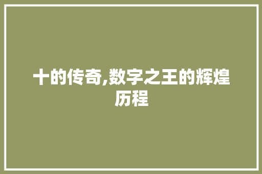 十的传奇,数字之王的辉煌历程