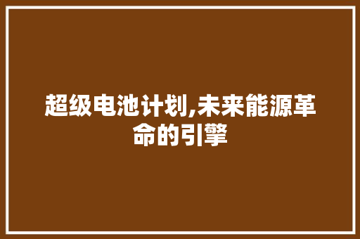 超级电池计划,未来能源革命的引擎