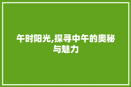 午时阳光,探寻中午的奥秘与魅力