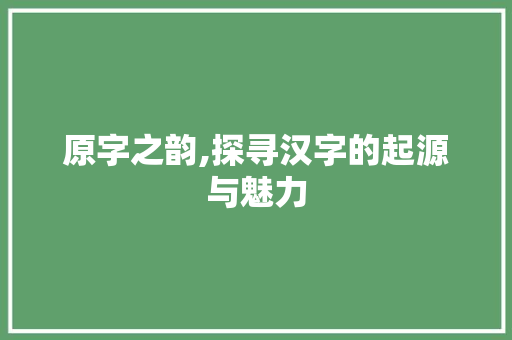 原字之韵,探寻汉字的起源与魅力