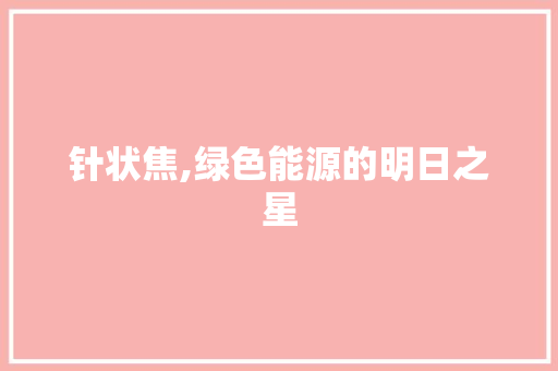 针状焦,绿色能源的明日之星