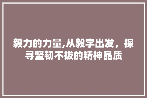 毅力的力量,从毅字出发，探寻坚韧不拔的精神品质