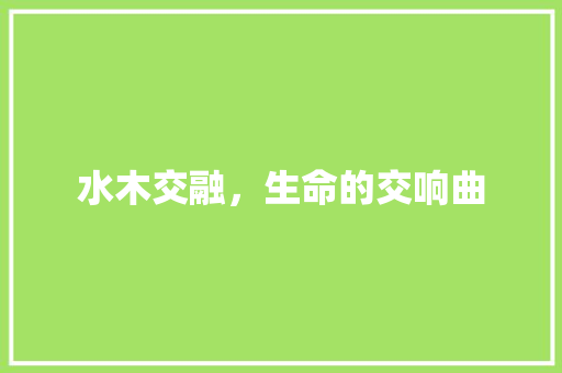 水木交融，生命的交响曲
