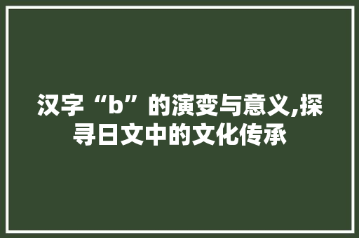 汉字“b”的演变与意义,探寻日文中的文化传承