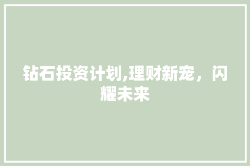 钻石投资计划,理财新宠，闪耀未来