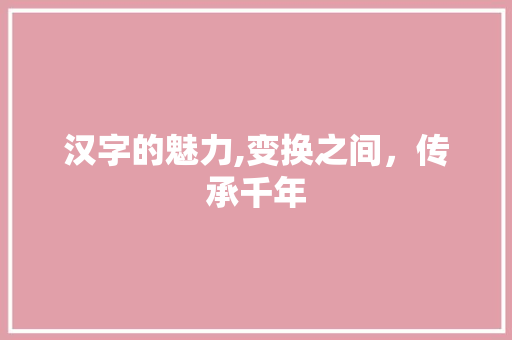汉字的魅力,变换之间，传承千年