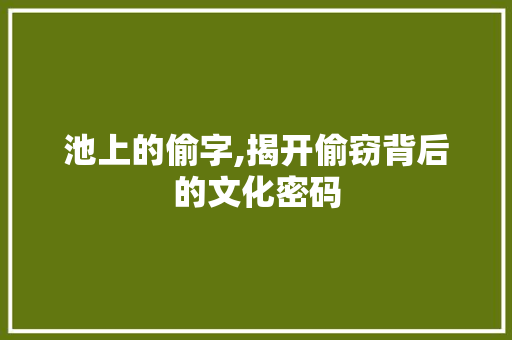 池上的偷字,揭开偷窃背后的文化密码 工作总结