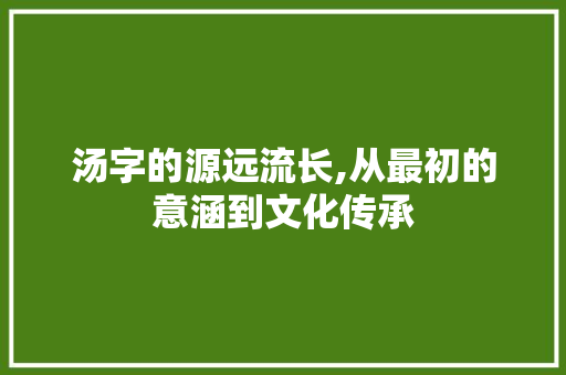 汤字的源远流长,从最初的意涵到文化传承