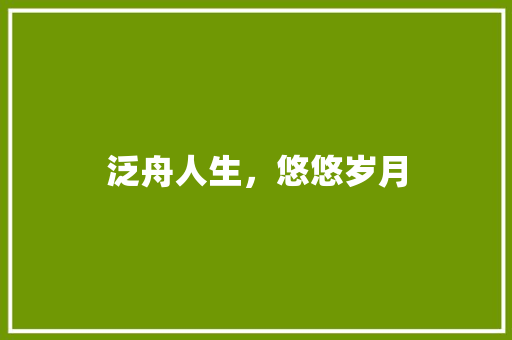 泛舟人生，悠悠岁月 生活随笔