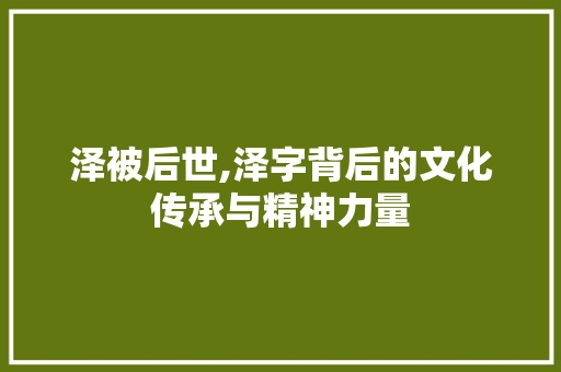 泽被后世,泽字背后的文化传承与精神力量