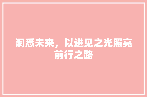 洞悉未来，以进见之光照亮前行之路