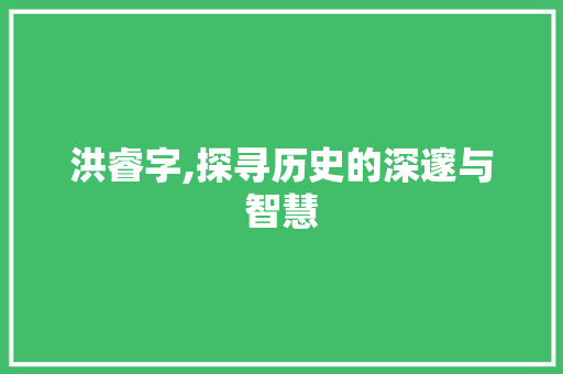 洪睿字,探寻历史的深邃与智慧