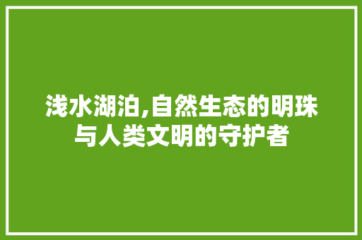 浅水湖泊,自然生态的明珠与人类文明的守护者