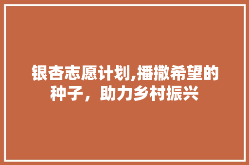 银杏志愿计划,播撒希望的种子，助力乡村振兴