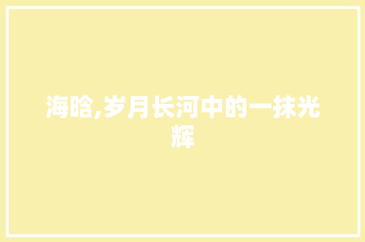 海晗,岁月长河中的一抹光辉