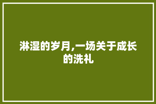淋湿的岁月,一场关于成长的洗礼
