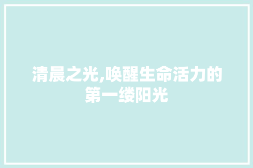 清晨之光,唤醒生命活力的第一缕阳光