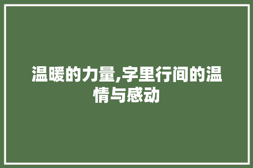 温暖的力量,字里行间的温情与感动