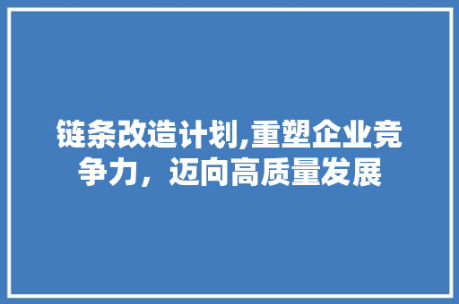 链条改造计划,重塑企业竞争力，迈向高质量发展