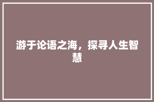 游于论语之海，探寻人生智慧
